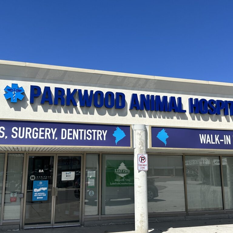 Business Channel Letters Sign installation services